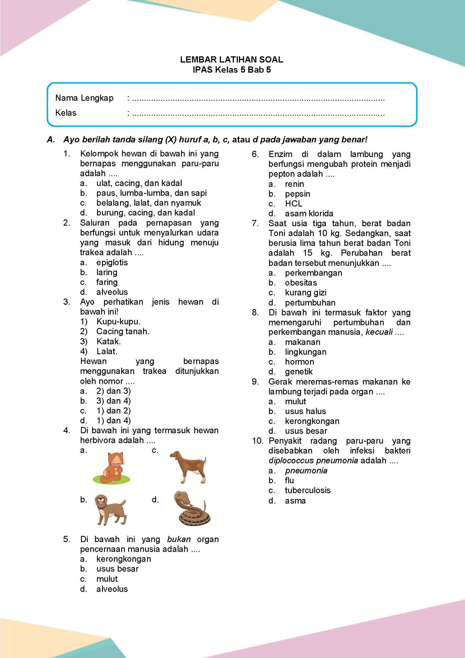 Rahasia Skor Sempurna dengan Latihan Soal IPA Kelas 5 Unit 2 Terbaru yang Wajib Dicoba Rahasia Skor Sempurna dengan Latihan Soal IPA Kelas 5 Unit 2 Terbaru yang Wajib Dicoba