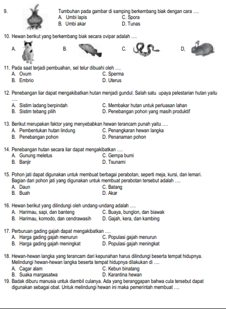 Rahasia Skor Tinggi Lewat Latihan Soal IPA SD Kelas 6 Semester 2 yang Wajib Dicoba