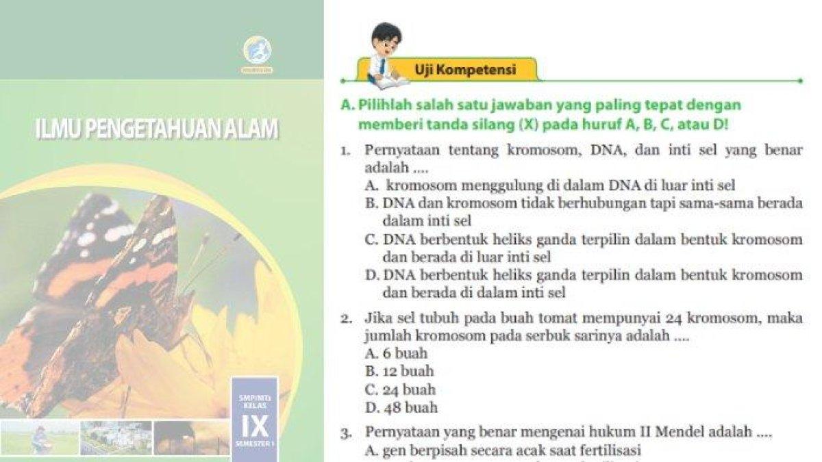 Wajib Tahu! Rahasia Latihan Soal IPA Kelas 9 Semester 2 Kurikulum 2013 Agar Nilai Maksimal